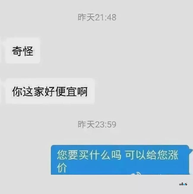 一个专业客服的日常#搞笑#