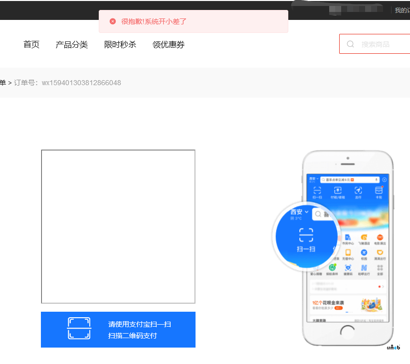 PC模板，在付款页面选择支付宝付款，生成不了二维码（很抱歉！系统开小差了）？？